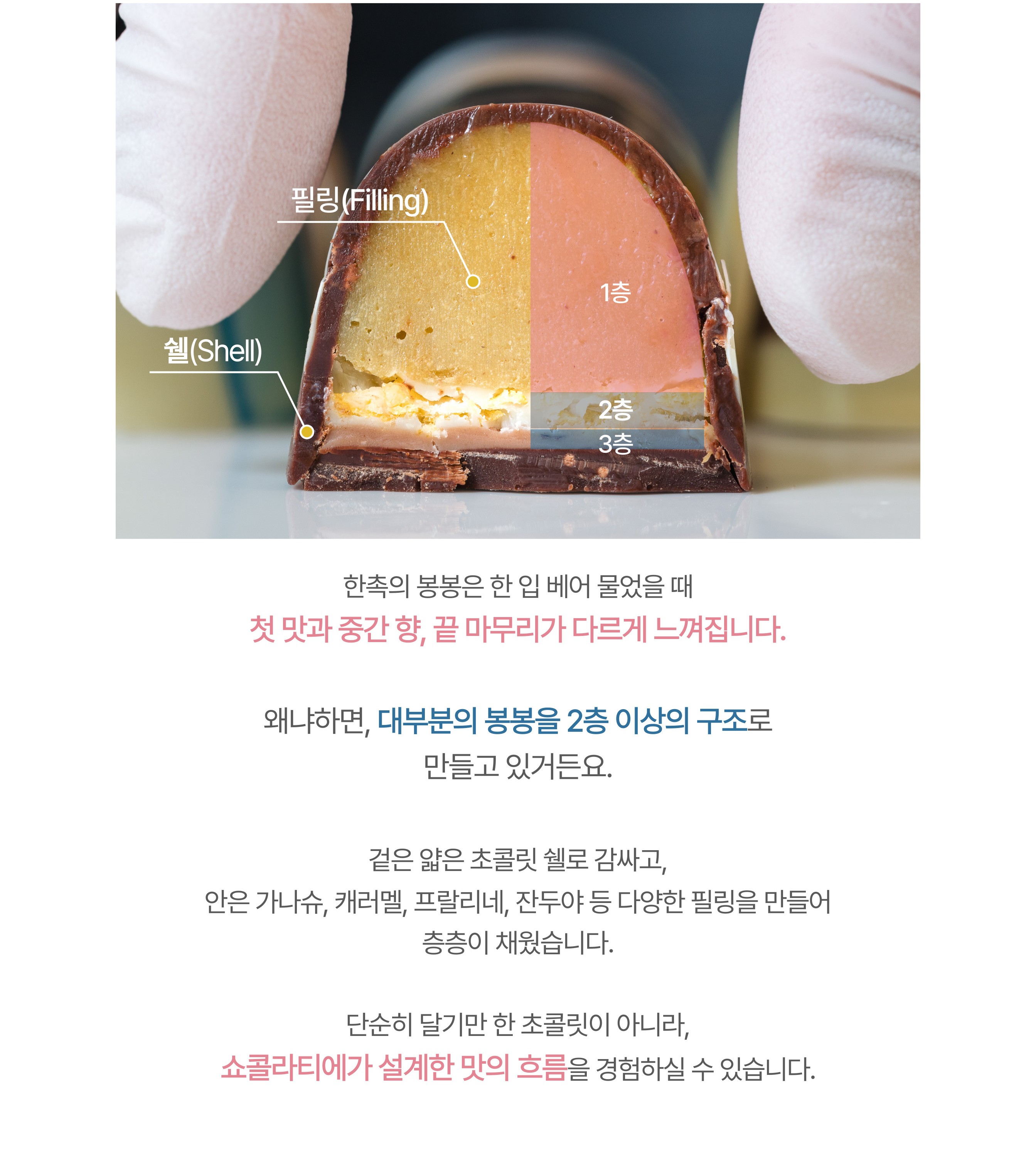 봉봉 단면, 쉘과 필링의 층 구조 설명